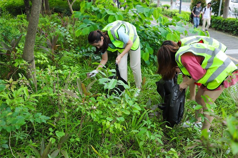 油煙凈化器，油煙凈化設(shè)備，油煙凈化機(jī)