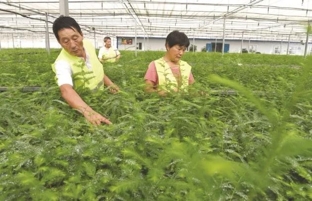 油煙凈化器，油煙凈化設(shè)備，油煙凈化機(jī)