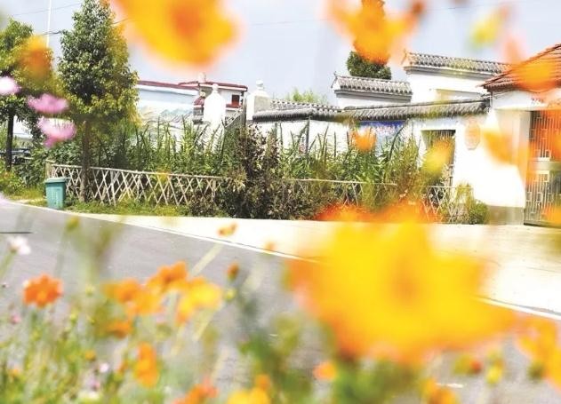 油煙凈化器，油煙凈化設(shè)備，油煙凈化機(jī)