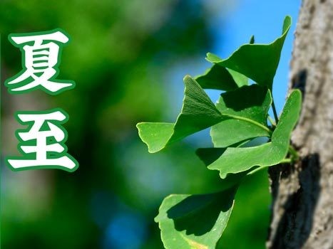 油煙凈化器，油煙凈化設(shè)備，油煙凈化機